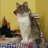 Отзыв от Ксения Зуева